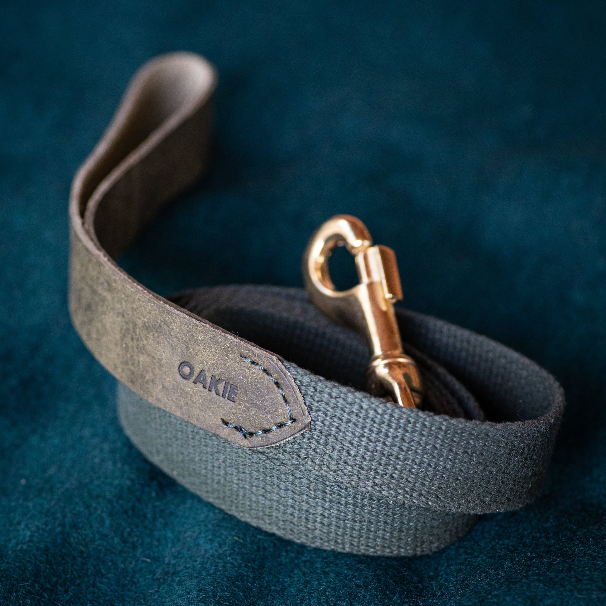 Leather, solid brass & cotton dog lead - Kohutt™ | Borne of the Sea